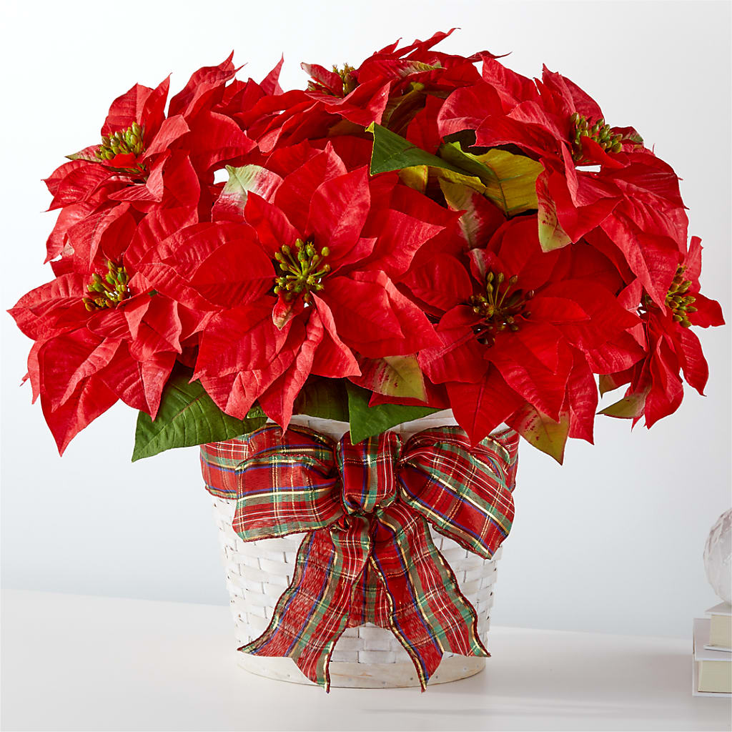Happiest Holidays Poinsettia – ILLUSIONS FLORAL & GIFTS LLC, Marshfield WI