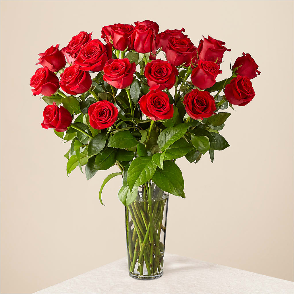 Long Stem Red Rose Bouquet – ILLUSIONS FLORAL & GIFTS LLC, Marshfield WI