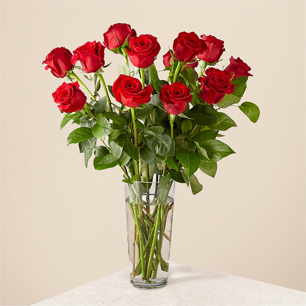 Long Stem Red Rose Bouquet – ILLUSIONS FLORAL & GIFTS LLC, Marshfield WI