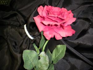 Charm Her – ILLUSIONS FLORAL & GIFTS LLC, Marshfield WI