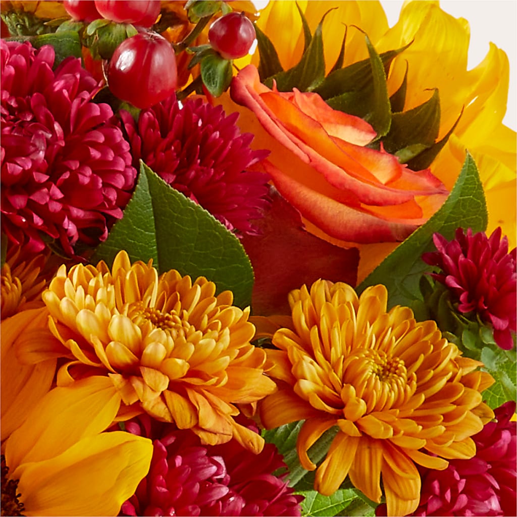 Sweater Season - A Florist Original – ILLUSIONS FLORAL & GIFTS LLC, Marshfield WI