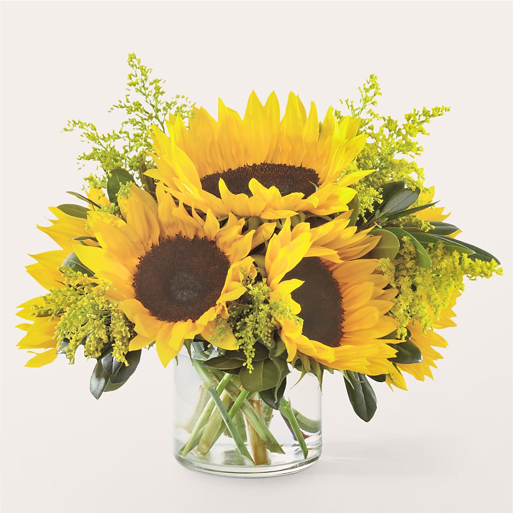 Beaming Sunflower Bouquet – ILLUSIONS FLORAL & GIFTS LLC, Marshfield WI