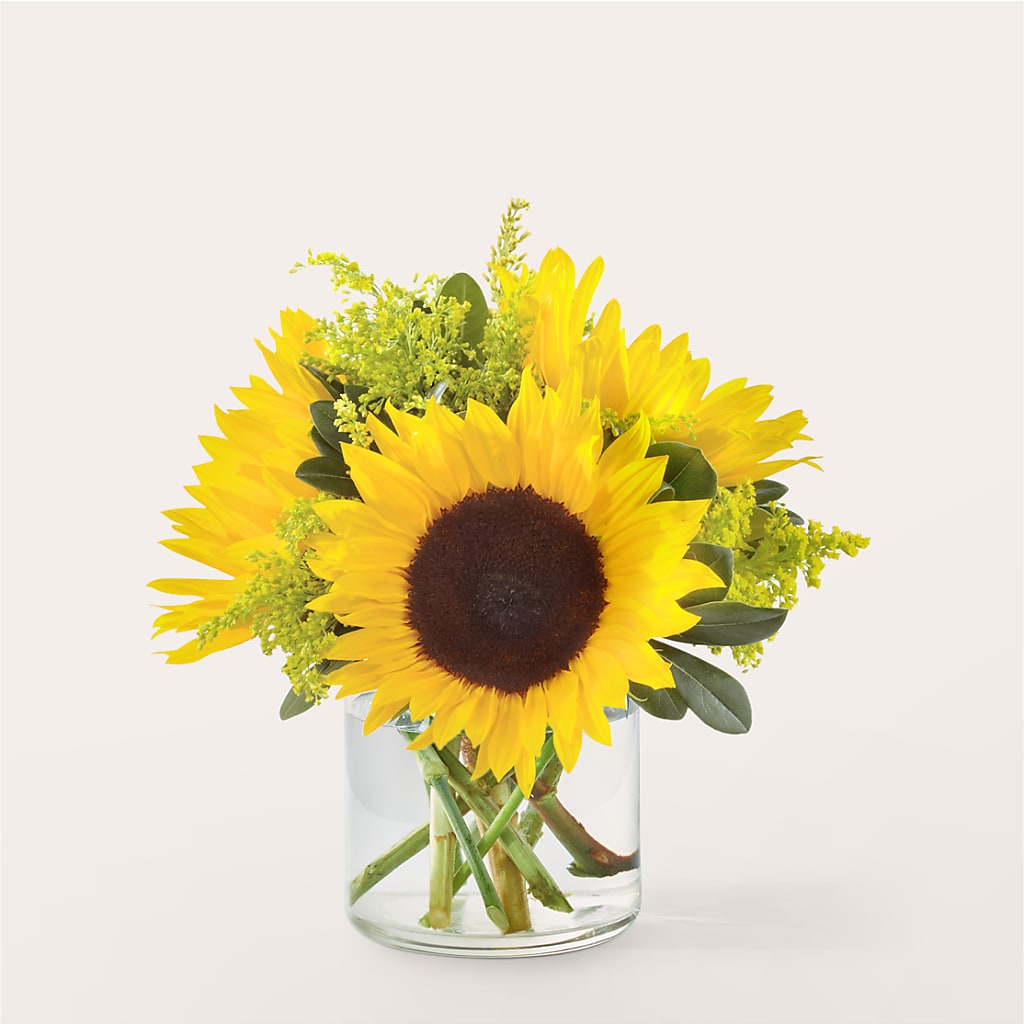 Beaming Sunflower Bouquet – ILLUSIONS FLORAL & GIFTS LLC, Marshfield WI