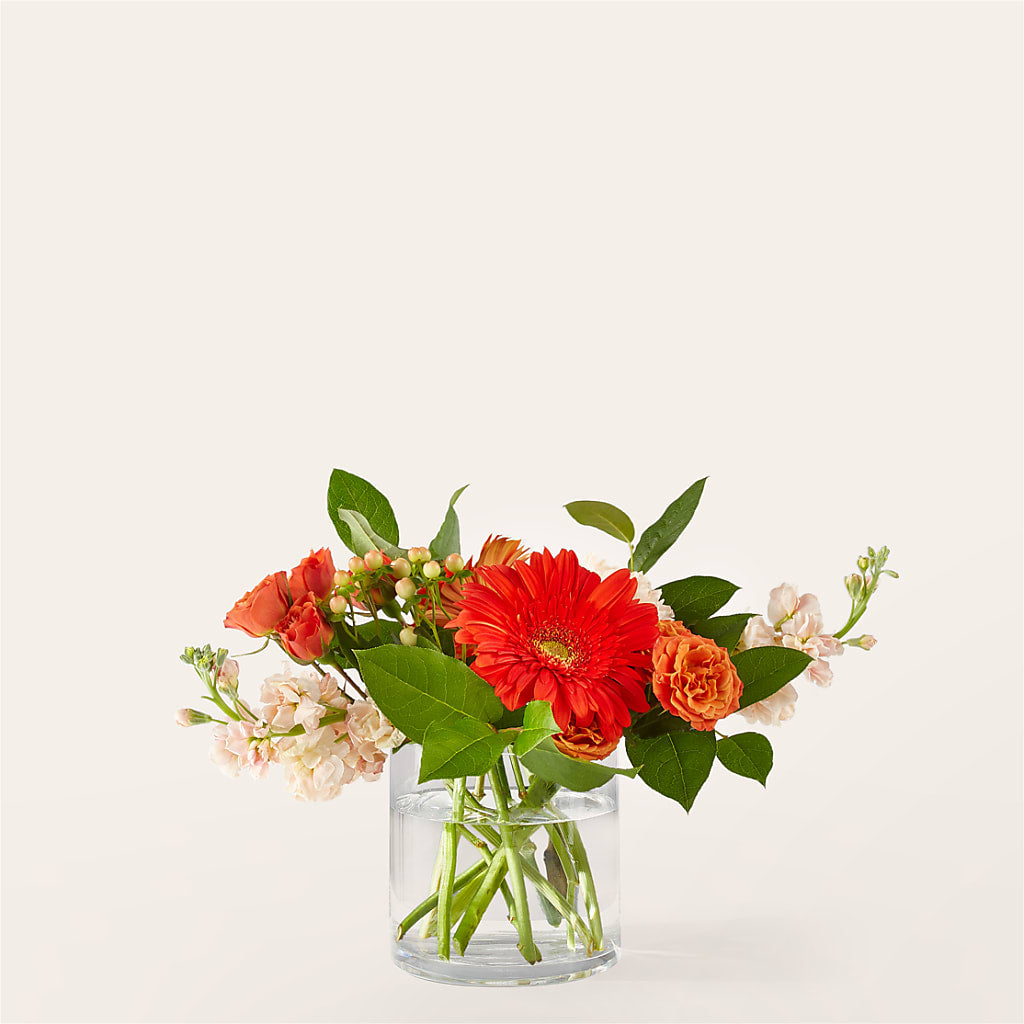 Paloma Please Bouquet – ILLUSIONS FLORAL & GIFTS LLC, Marshfield WI