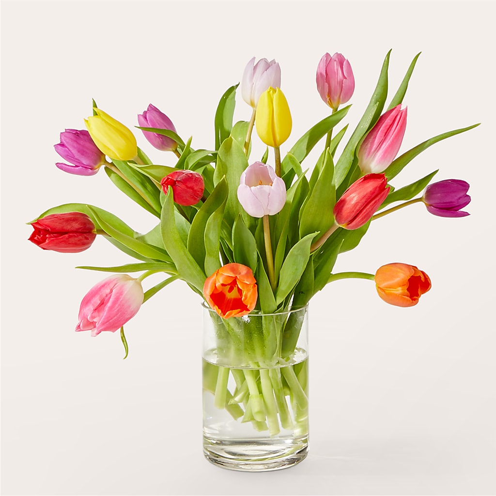 Let's Talk Tulips Bouquet – ILLUSIONS FLORAL & GIFTS LLC, Marshfield WI
