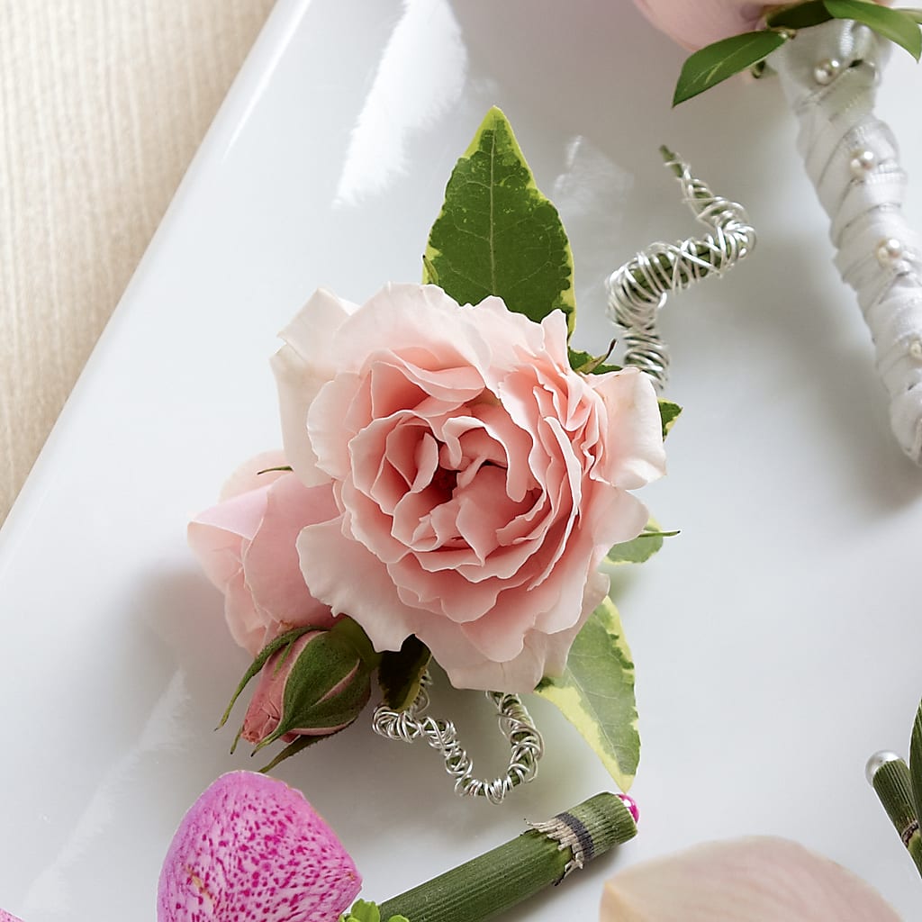 Pink Spray Rose Boutonniere – ILLUSIONS FLORAL & GIFTS LLC, Marshfield WI