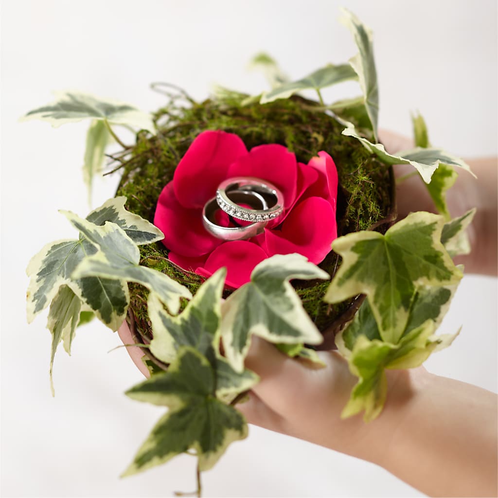 Lila Rose Ring Nest – ILLUSIONS FLORAL & GIFTS LLC, Marshfield WI