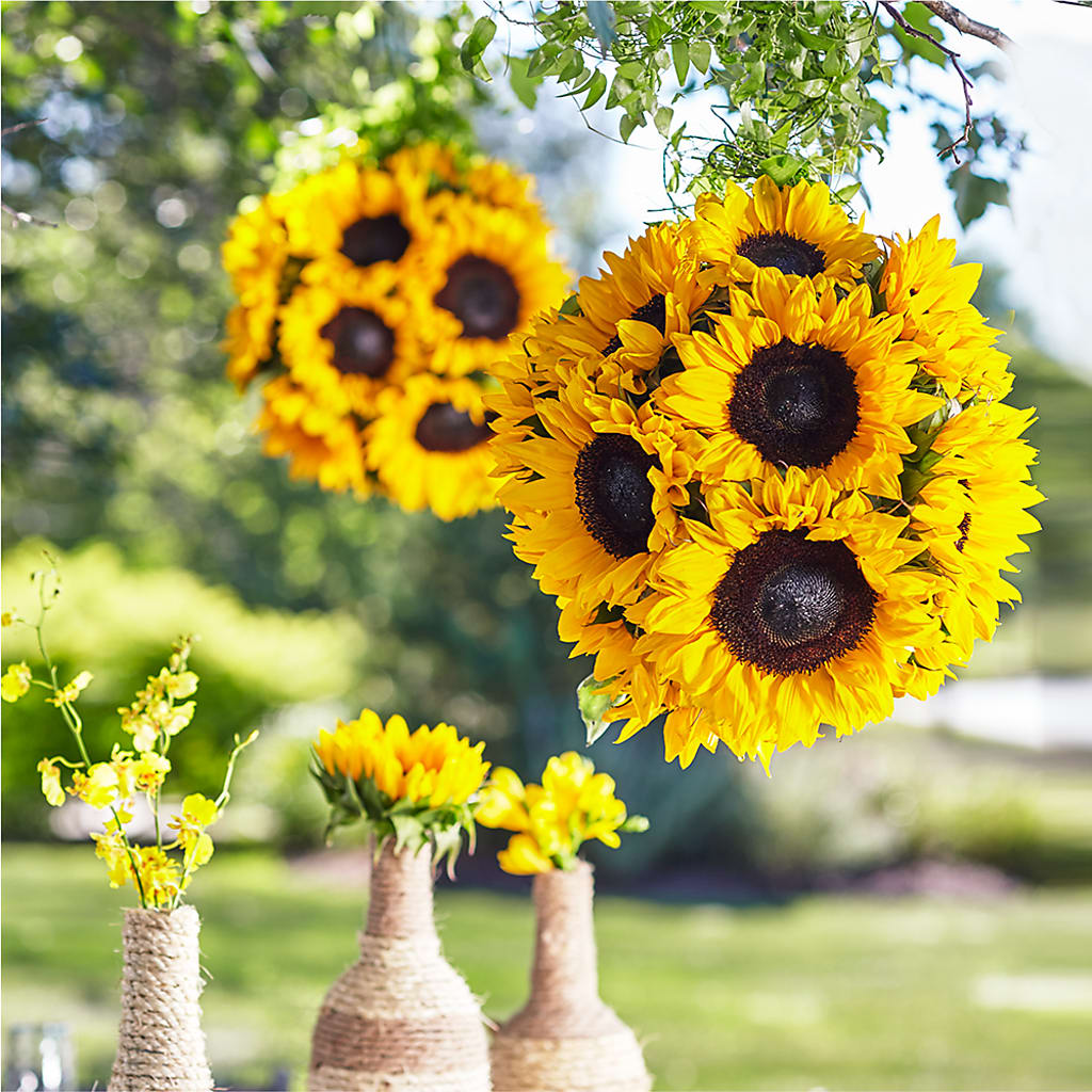 Sublime Garden Hanging Arrangement – ILLUSIONS FLORAL & GIFTS LLC, Marshfield WI
