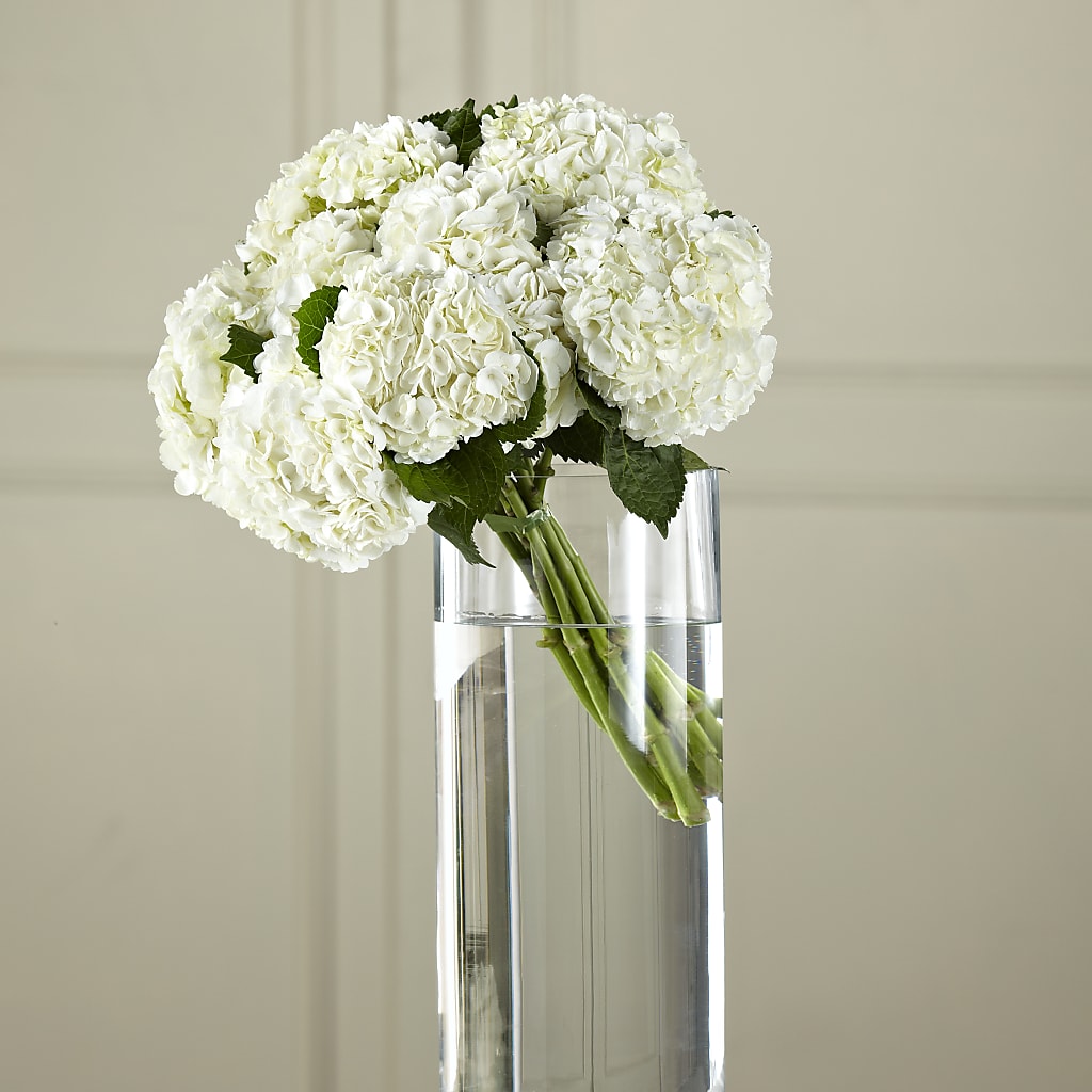 White Hydrangea Hand-Tied Bouquet – ILLUSIONS FLORAL & GIFTS LLC, Marshfield WI