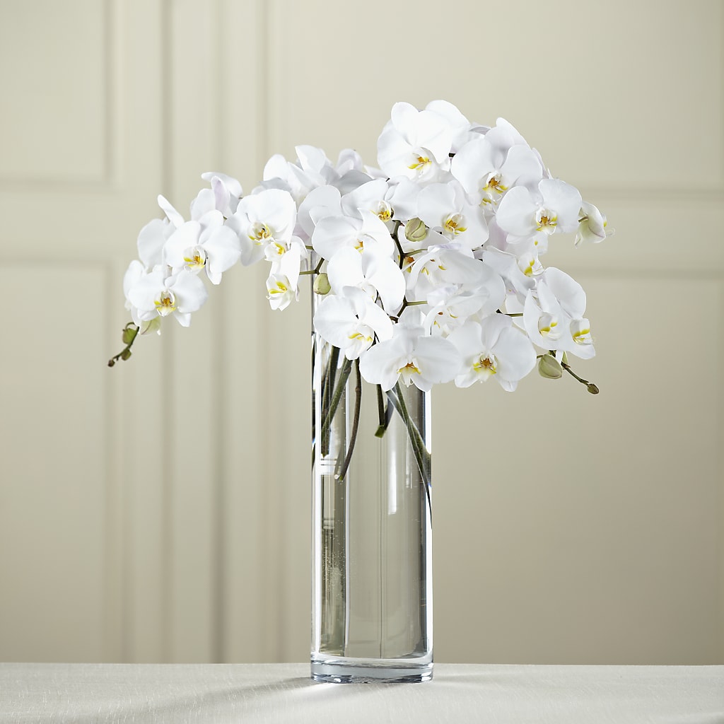 White Phalaenopsis Bouquet – ILLUSIONS FLORAL & GIFTS LLC, Marshfield WI