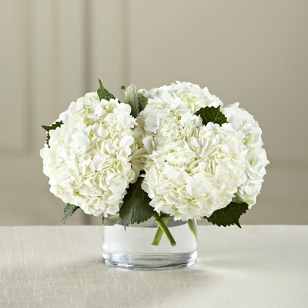 White Hydrangea Bouquet – ILLUSIONS FLORAL & GIFTS LLC, Marshfield WI