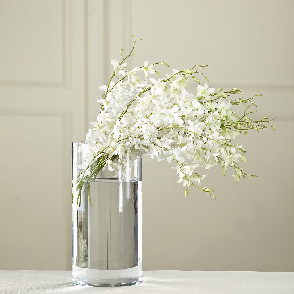 White Dendrobium Bouquet – ILLUSIONS FLORAL & GIFTS LLC, Marshfield WI