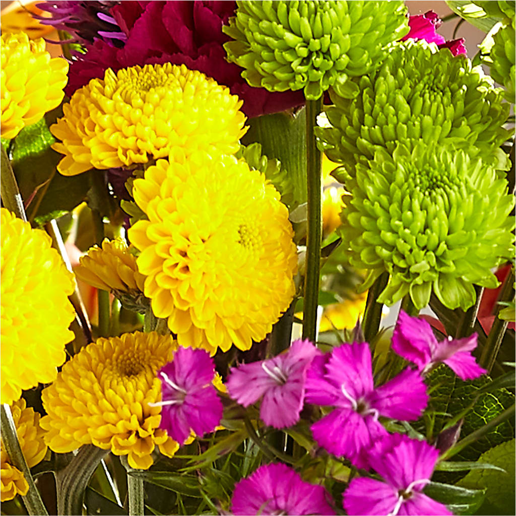 Bold & Bright – A Florist Original – ILLUSIONS FLORAL & GIFTS LLC, Marshfield WI