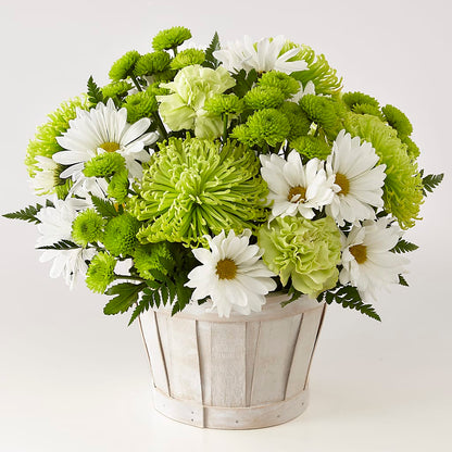 Lucky Charm Basket (Standard) – ILLUSIONS FLORAL & GIFTS LLC, Marshfield WI