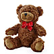 Adorable Plush Bear – ILLUSIONS FLORAL & GIFTS LLC, Marshfield WI