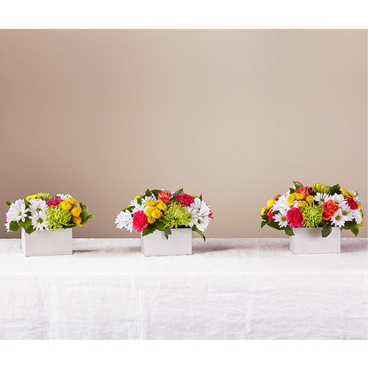 Sorbet Bouquet – ILLUSIONS FLORAL & GIFTS LLC, Marshfield WI