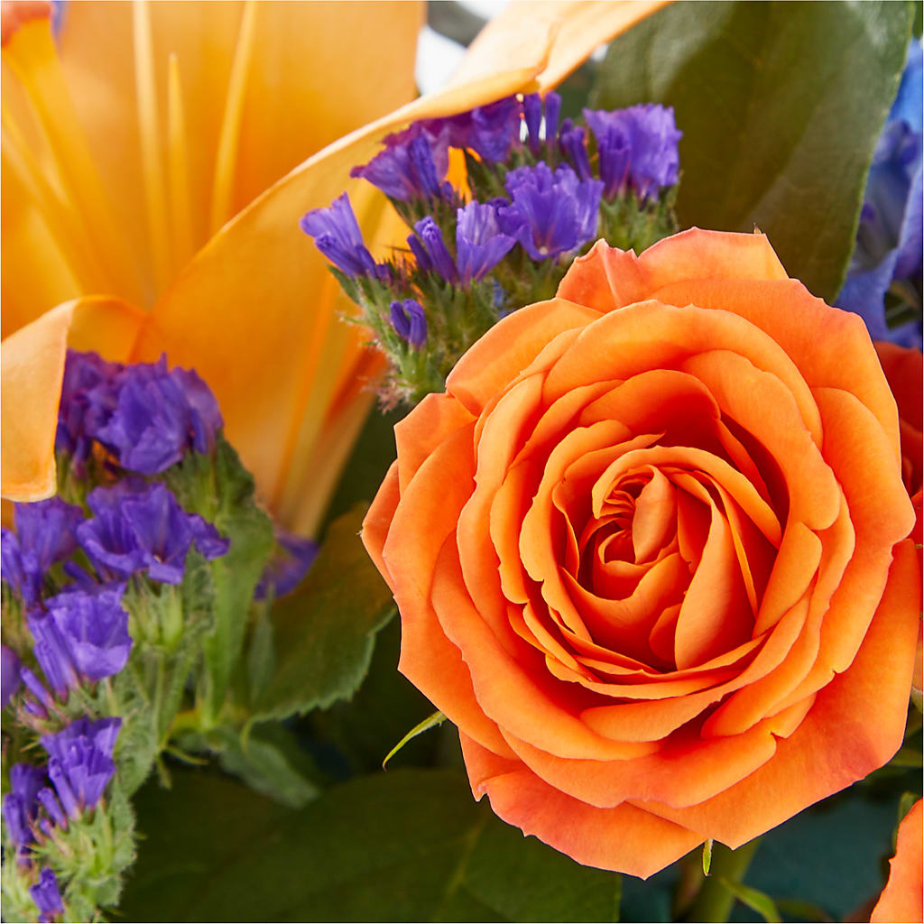 Radiant Citrus Box Bouquet – ILLUSIONS FLORAL & GIFTS LLC, Marshfield WI