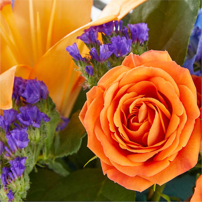 Radiant Citrus Box Bouquet – ILLUSIONS FLORAL & GIFTS LLC, Marshfield WI