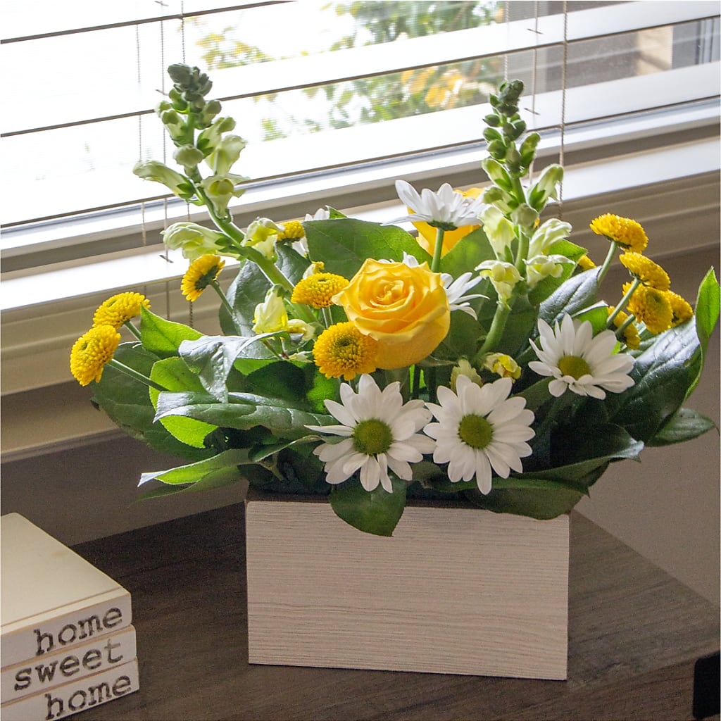 Sun Salutation Box Bouquet – ILLUSIONS FLORAL & GIFTS LLC, Marshfield WI