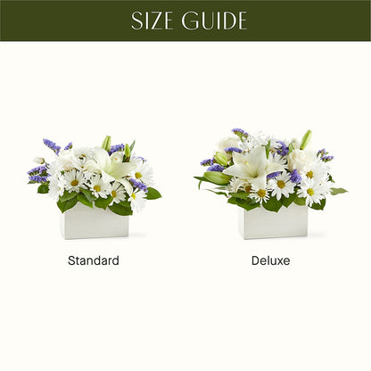 Beyond Blue Box Bouquet – ILLUSIONS FLORAL & GIFTS LLC, Marshfield WI