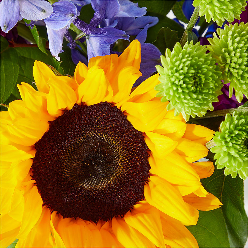 Catching Rays Bouquet – ILLUSIONS FLORAL & GIFTS LLC, Marshfield WI