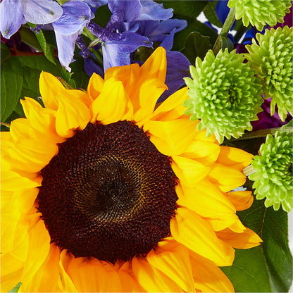 Catching Rays Bouquet – ILLUSIONS FLORAL & GIFTS LLC, Marshfield WI