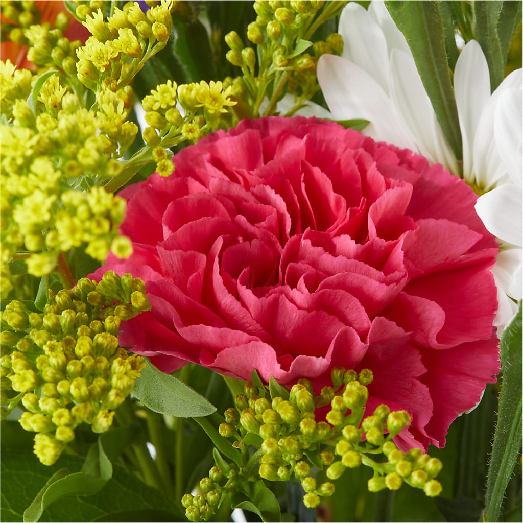 Oopsie Daisy Bouquet – ILLUSIONS FLORAL & GIFTS LLC, Marshfield WI