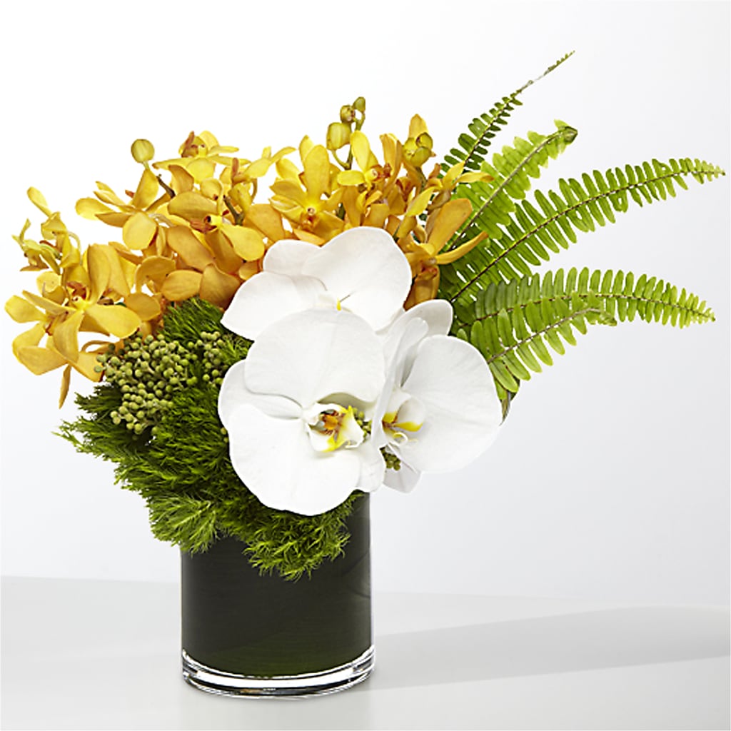 The Tropics – ILLUSIONS FLORAL & GIFTS LLC, Marshfield WI
