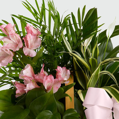 Living Spirit Dishgarden – ILLUSIONS FLORAL & GIFTS LLC, Marshfield WI