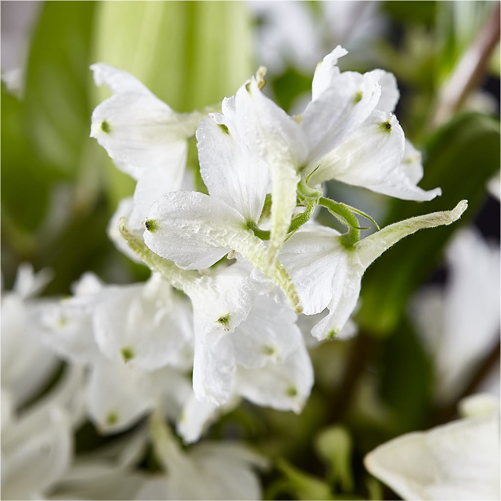 Classic Ivory – A Florist Original – ILLUSIONS FLORAL & GIFTS LLC, Marshfield WI
