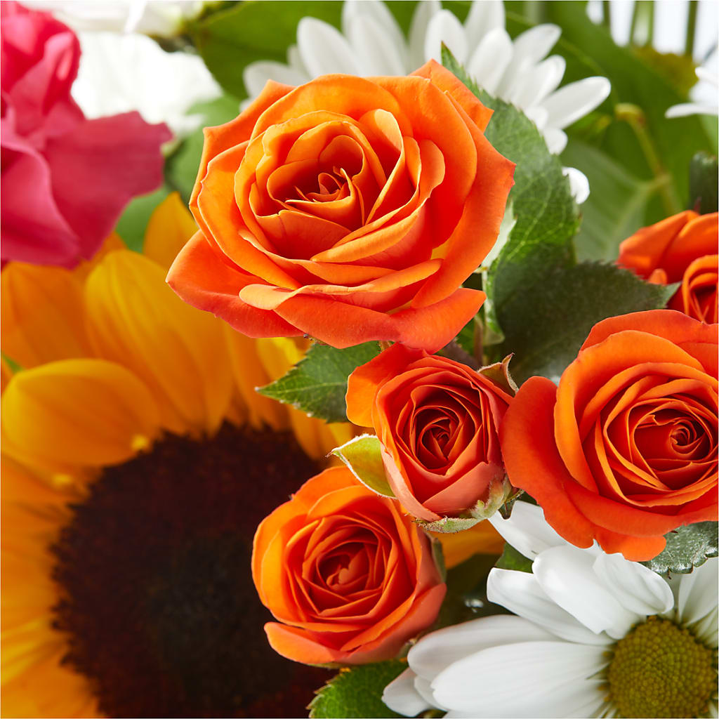 Sun-drenched Blooms Bouquet – ILLUSIONS FLORAL & GIFTS LLC, Marshfield WI