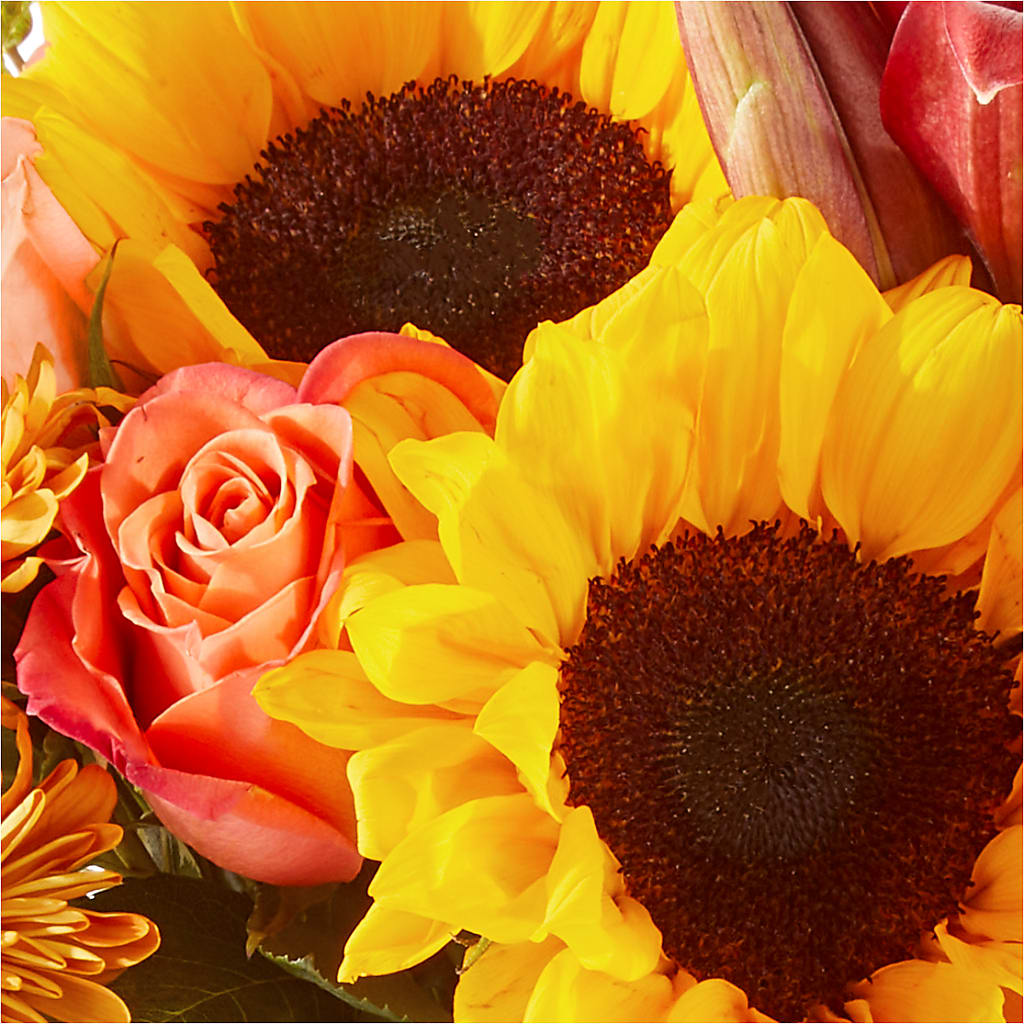 Acorn Lane Bouquet – ILLUSIONS FLORAL & GIFTS LLC, Marshfield WI