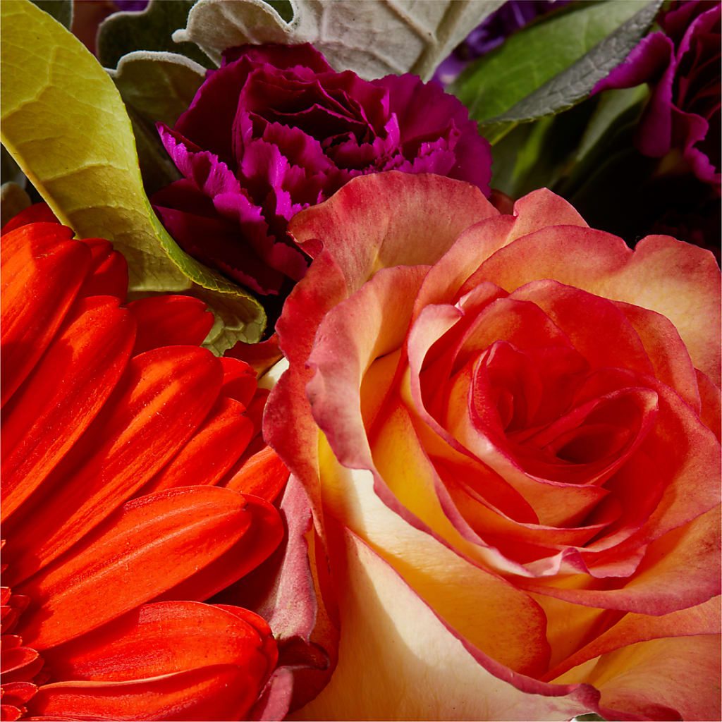 Sangria Bouquet – ILLUSIONS FLORAL & GIFTS LLC, Marshfield WI