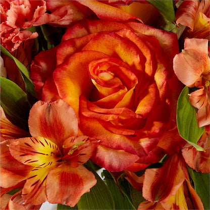 Apricot Glow Bouquet – ILLUSIONS FLORAL & GIFTS LLC, Marshfield WI