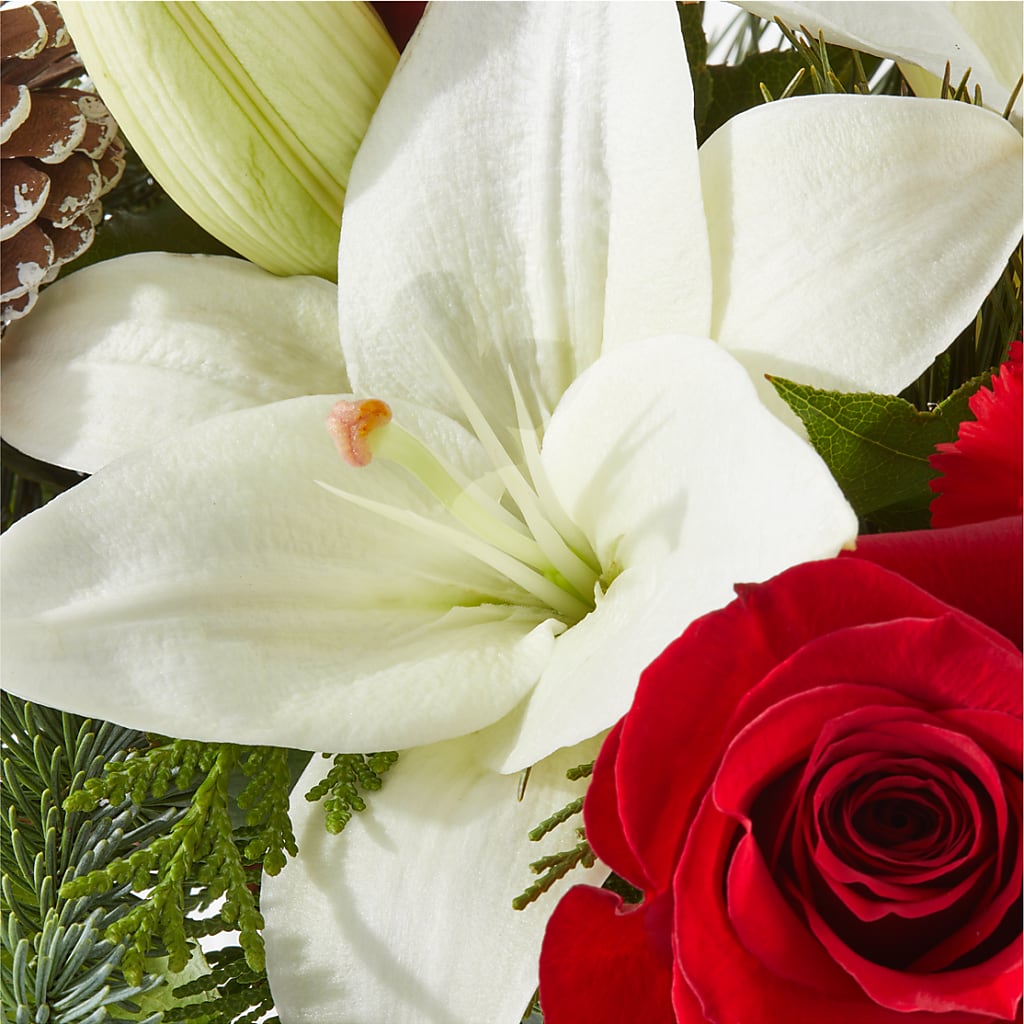 Oh So Jolly Bouquet – ILLUSIONS FLORAL & GIFTS LLC, Marshfield WI