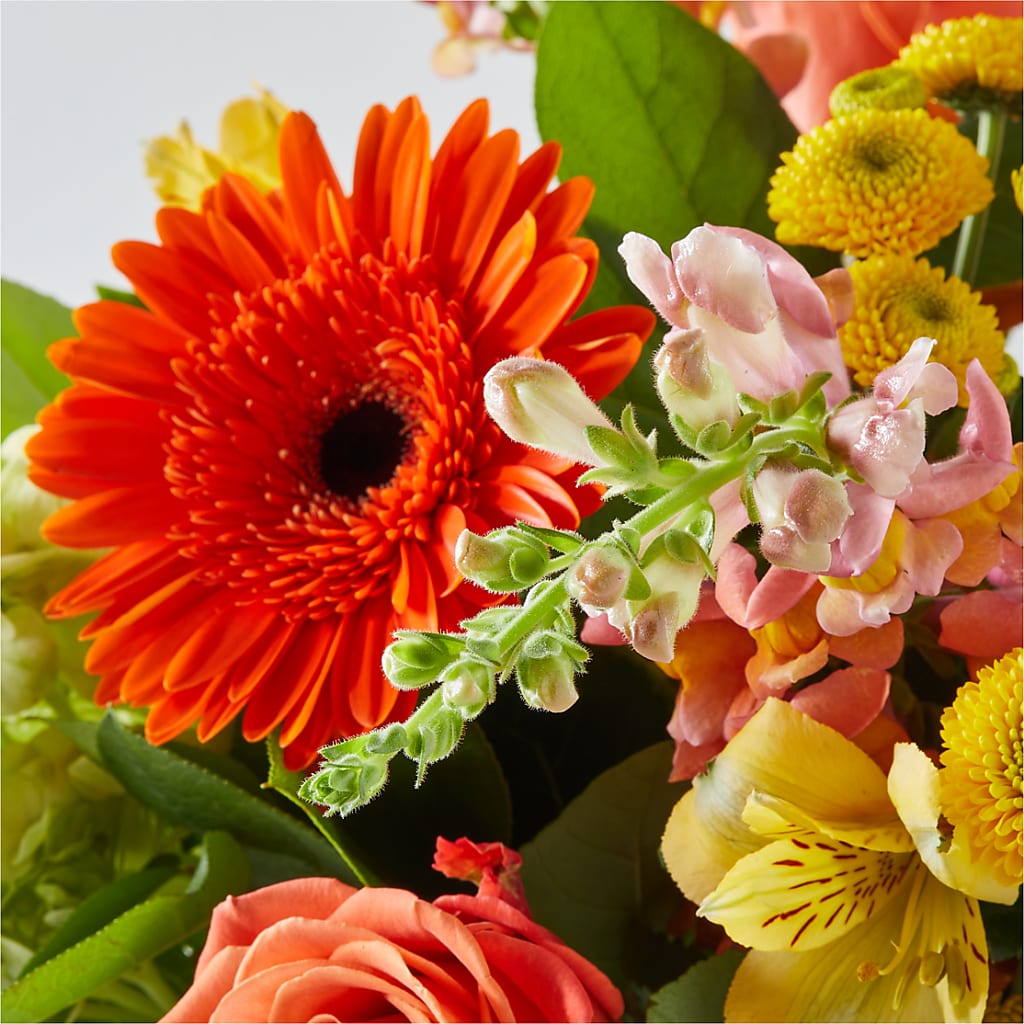Autumn Sunshine Bouquet – ILLUSIONS FLORAL & GIFTS LLC, Marshfield WI