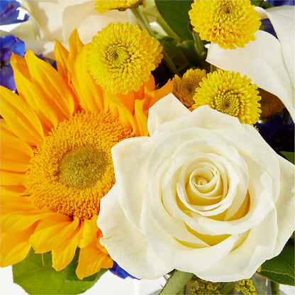 Stargazing Bouquet – ILLUSIONS FLORAL & GIFTS LLC, Marshfield WI