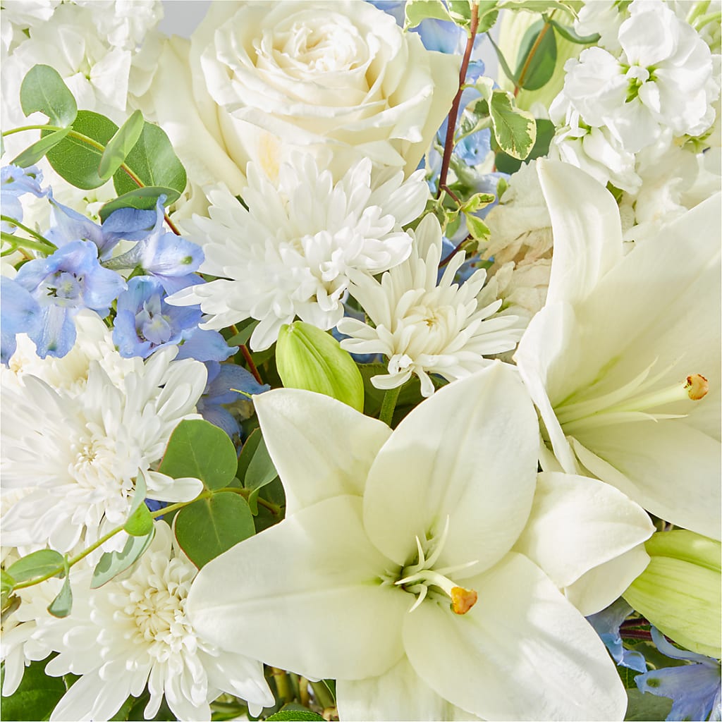 Peace of Mind Bouquet – ILLUSIONS FLORAL & GIFTS LLC, Marshfield WI