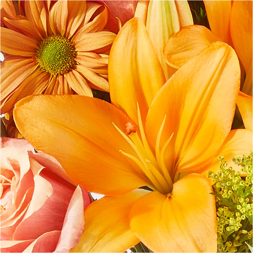 Harvest Hayride Bouquet – ILLUSIONS FLORAL & GIFTS LLC, Marshfield WI