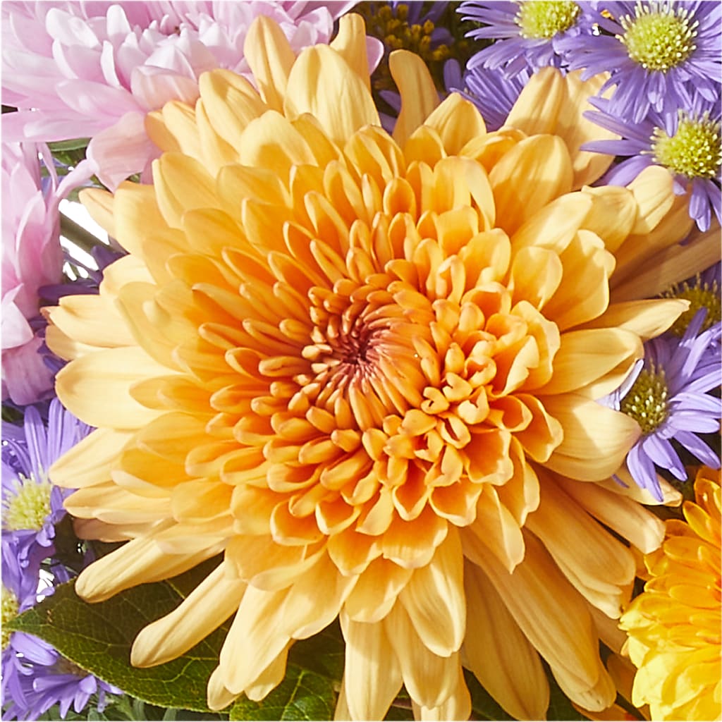 Countryside Bouquet – ILLUSIONS FLORAL & GIFTS LLC, Marshfield WI
