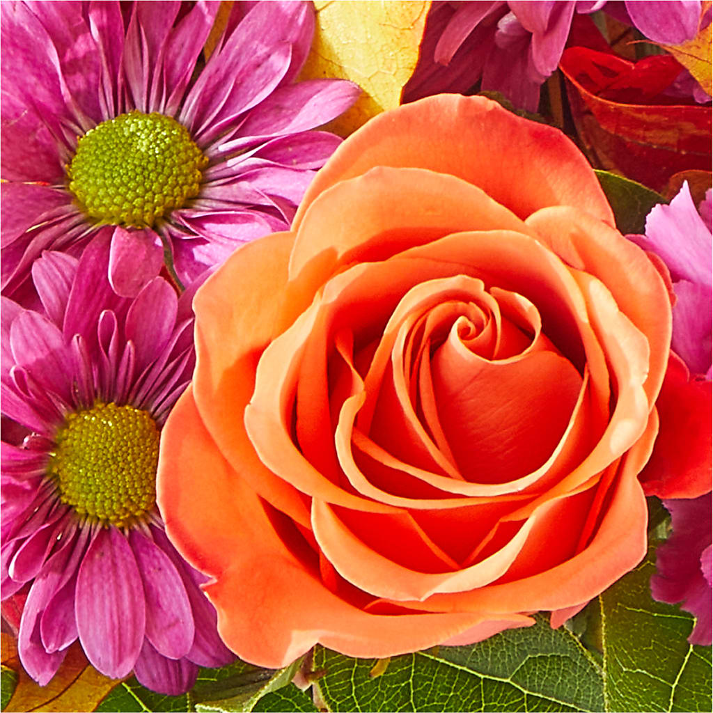 Mum's the Word Bouquet – ILLUSIONS FLORAL & GIFTS LLC, Marshfield WI
