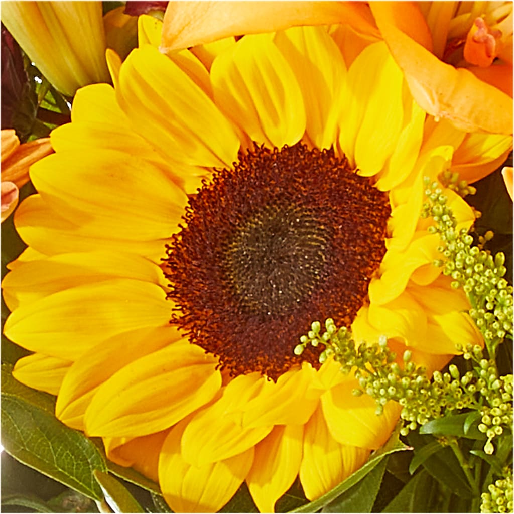 Seasons Change Bouquet – ILLUSIONS FLORAL & GIFTS LLC, Marshfield WI