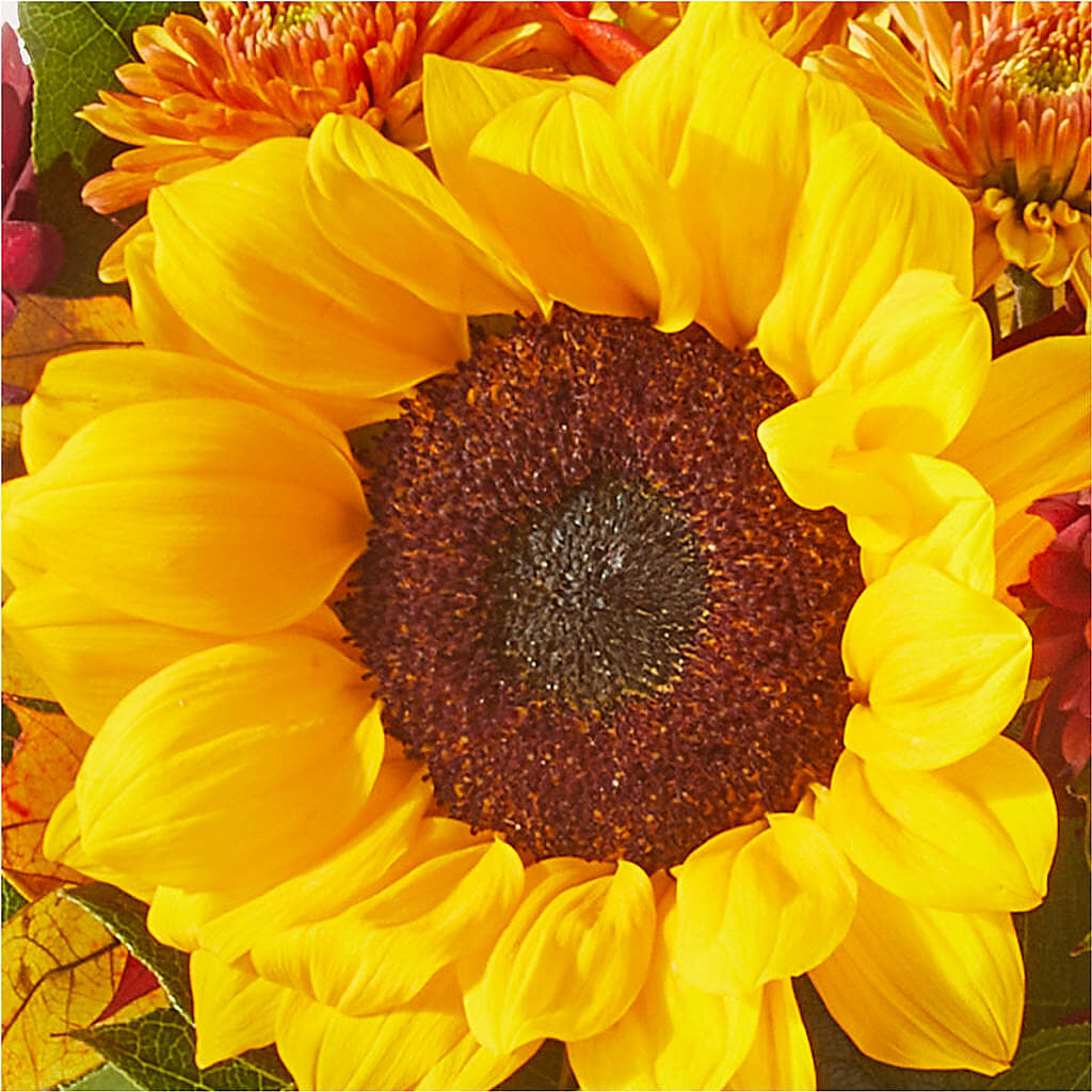 Sunny Side Bouquet – ILLUSIONS FLORAL & GIFTS LLC, Marshfield WI