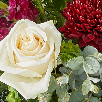 Cranberry Fizz Bouquet – ILLUSIONS FLORAL & GIFTS LLC, Marshfield WI