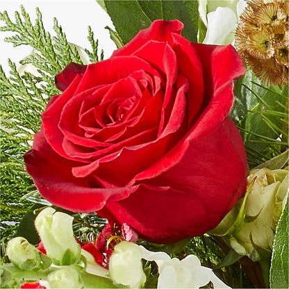 Deck the Halls Bouquet – ILLUSIONS FLORAL & GIFTS LLC, Marshfield WI