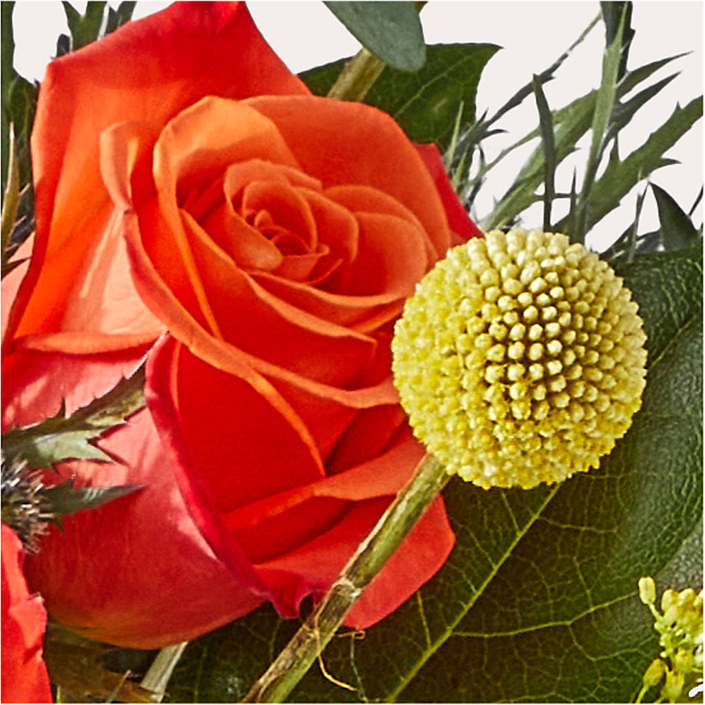 Disco Bouquet – ILLUSIONS FLORAL & GIFTS LLC, Marshfield WI