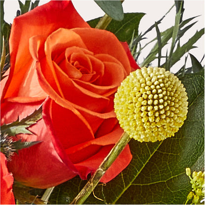 Disco Bouquet – ILLUSIONS FLORAL & GIFTS LLC, Marshfield WI