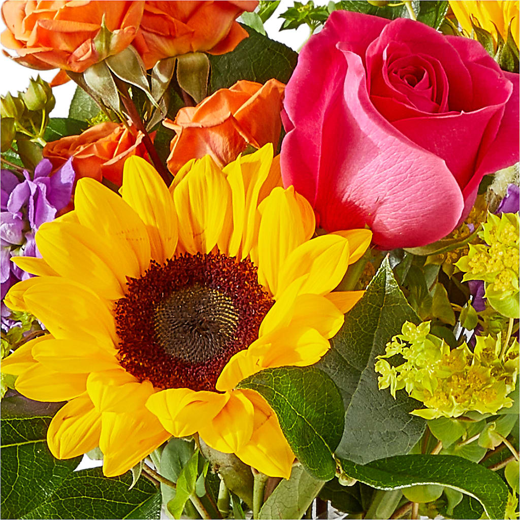 Vibrant Greetings Bouquet – ILLUSIONS FLORAL & GIFTS LLC, Marshfield WI