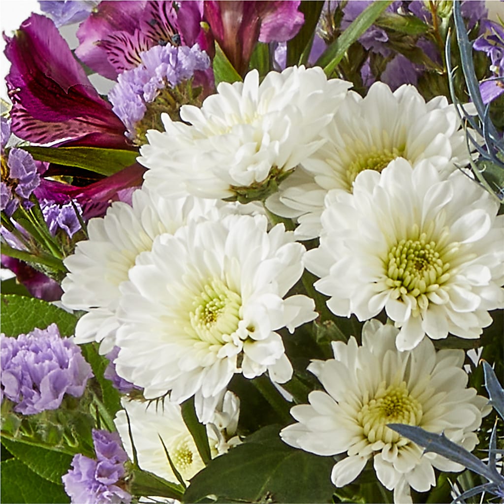 Shooting Star Bouquet – ILLUSIONS FLORAL & GIFTS LLC, Marshfield WI