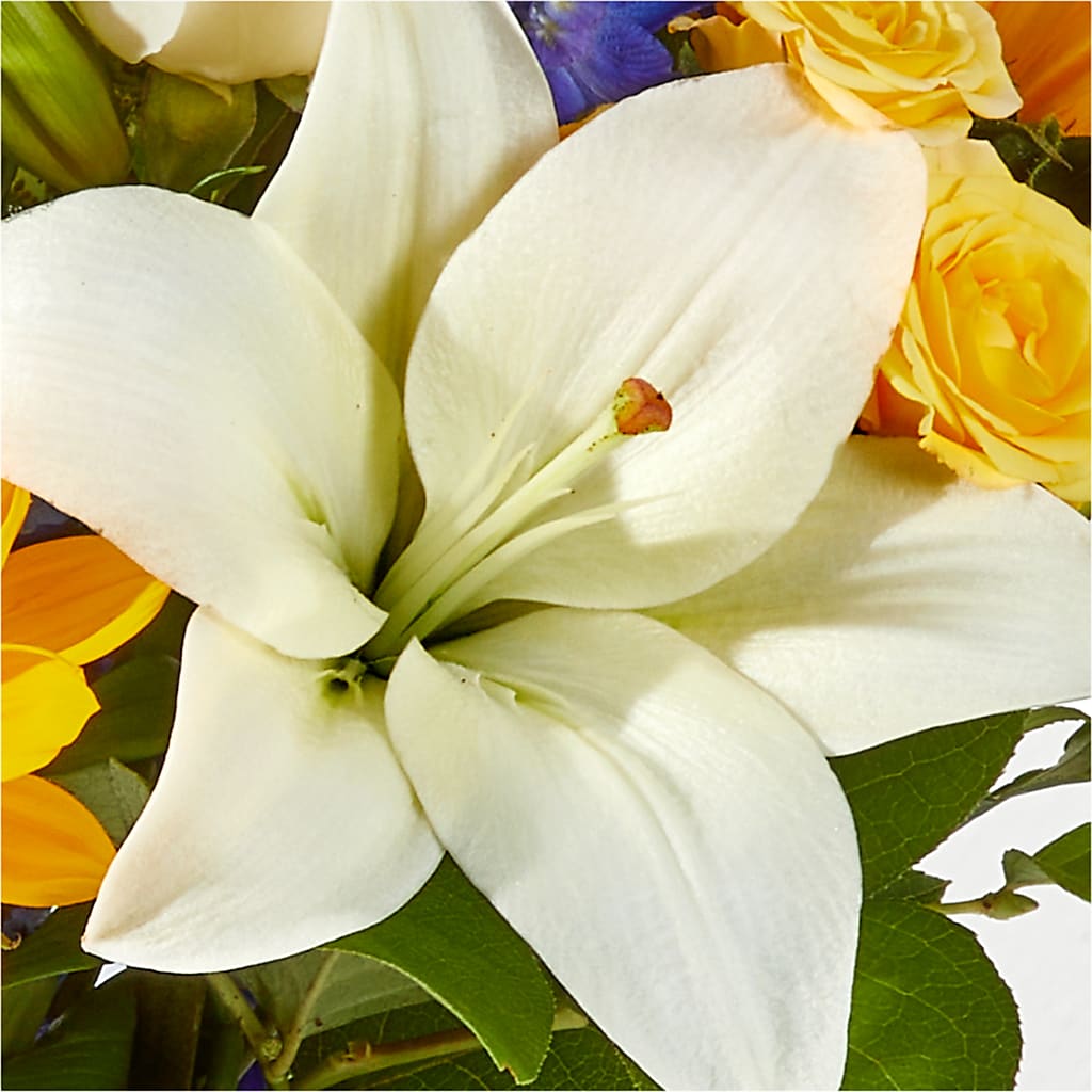 Wonderfully Sunny Bouquet – ILLUSIONS FLORAL & GIFTS LLC, Marshfield WI